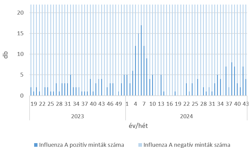 szennyviz 2024 43 6