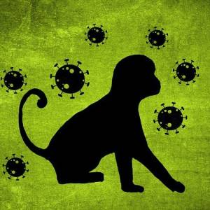 Újabb majomhimlős fertőzötteket igazoltak a Nemzeti Népegészségügyi Központ laboratóriumában