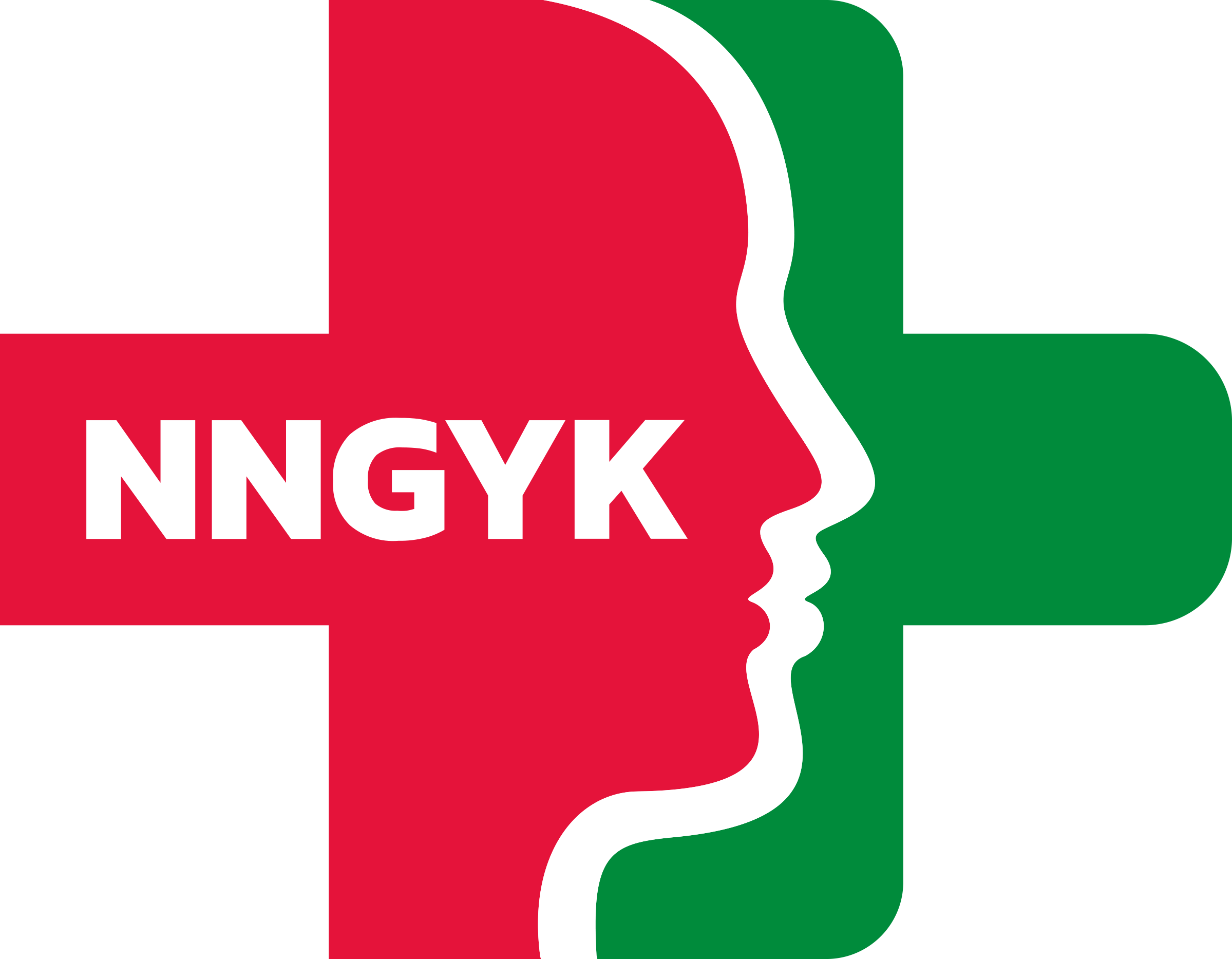 nngyk logo